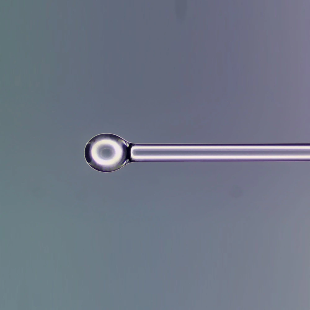 Fibra com Lente Esférica