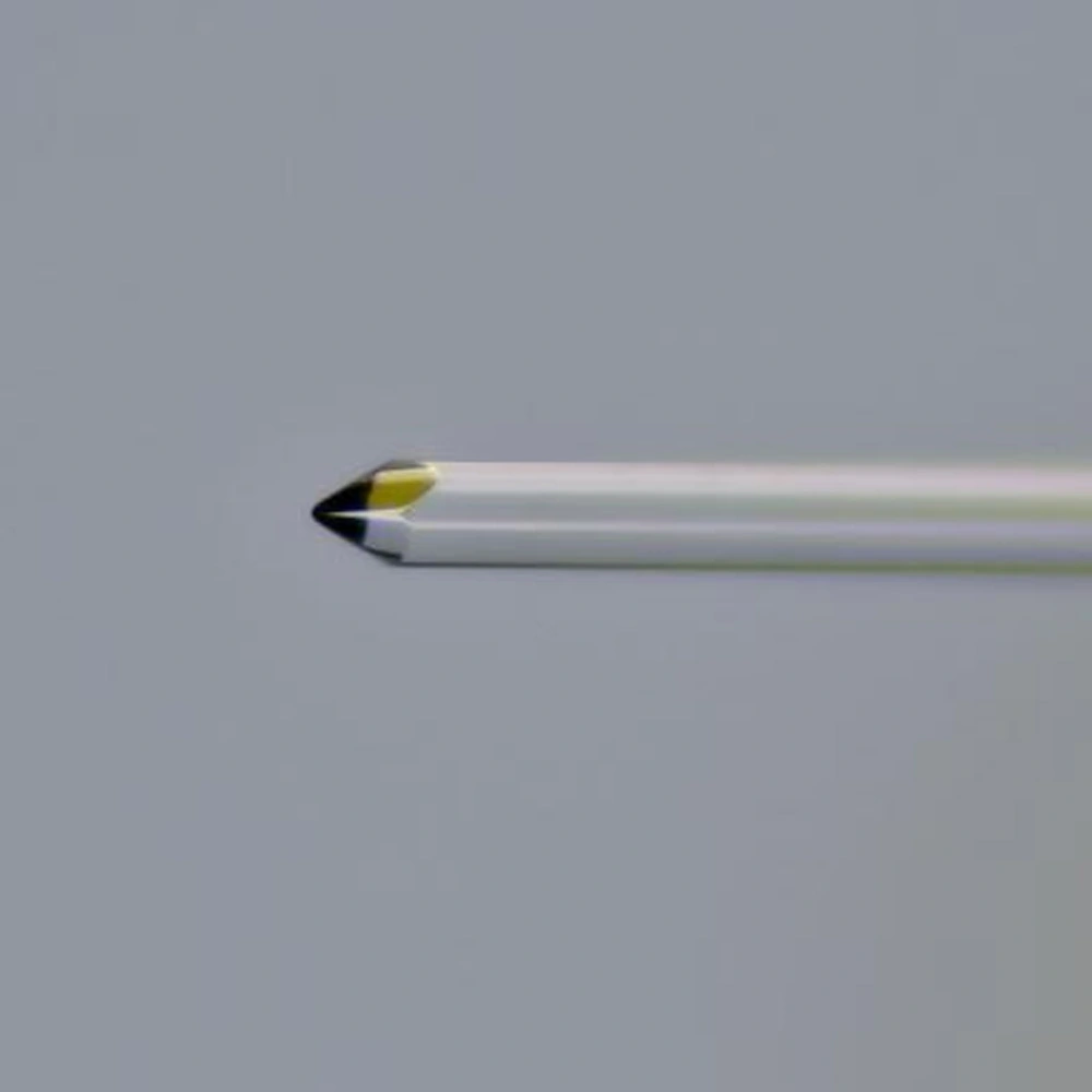 Fibra PM com Lente em Cunha