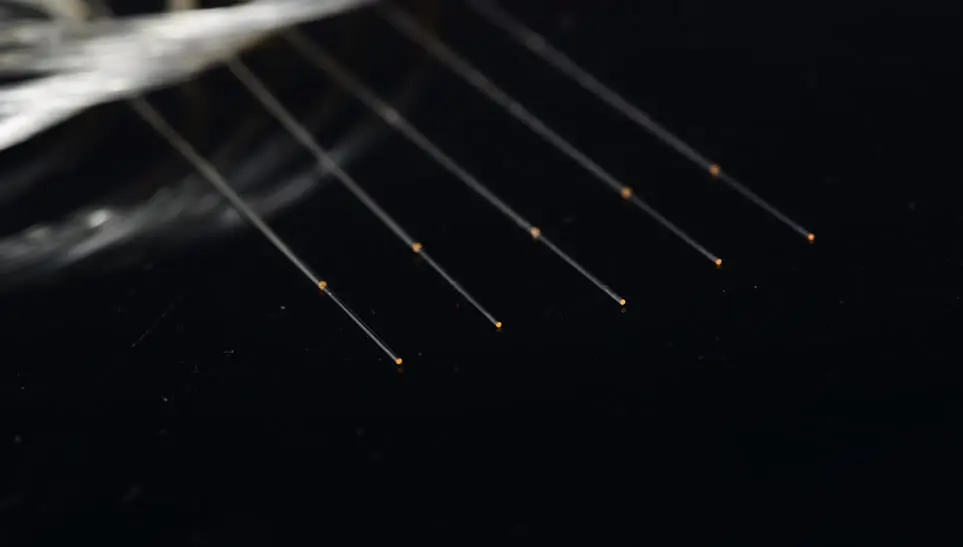 Fibra com revestimento de alta reflexão de 830~1000nm e passagem de 780nm