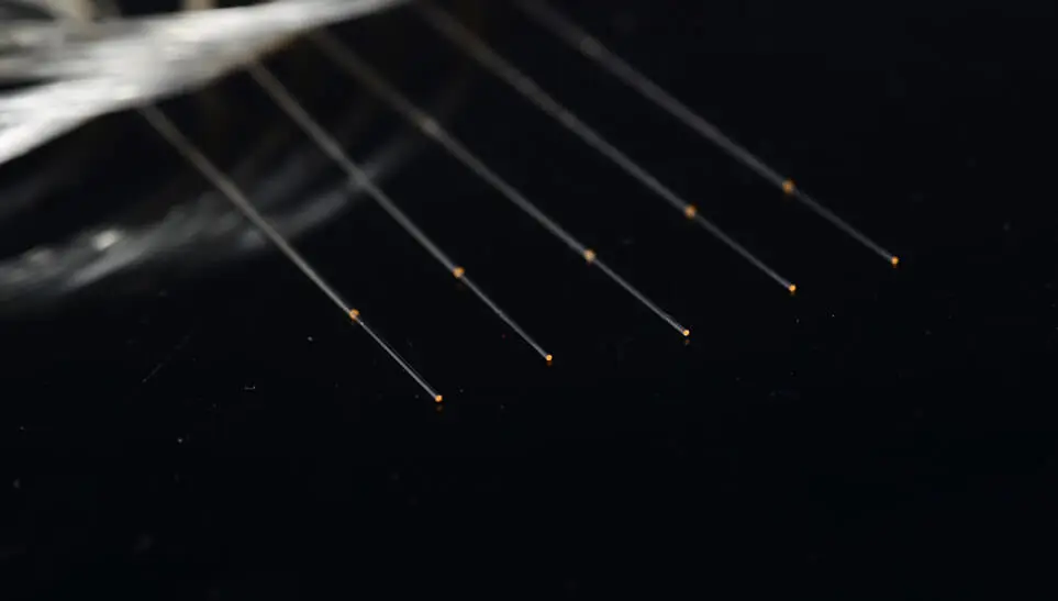 Fibra nua com revestimento AR