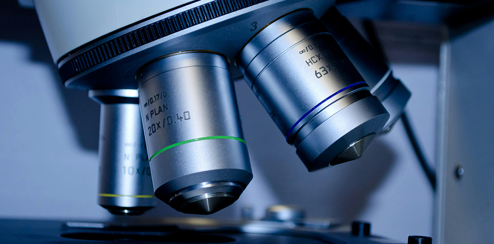 Fibra Lensada em Microscopia