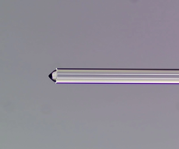 fibra lensada