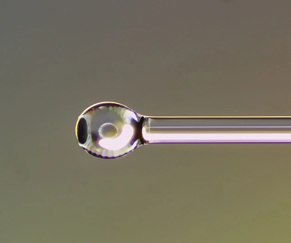 lente esférica de fibra óptica
